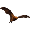Nocturnal bat in flight