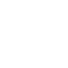 Amira