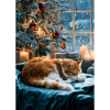 Cozy Christmas Cat Nap