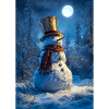 Moonlit Snowman in Frost Forest