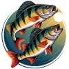 Two perch in a circle