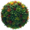 Tropical Plant Ball