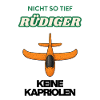 Pas si bas Rüdiger Flug