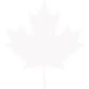 Canada Leaf Silhouette