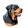 Rottweiler Farbblock Portrait