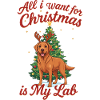Christmas with my Labrador