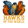 Halcones del mundo Observación de aves de cetrería