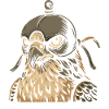 Majestic Falcon Hooded Peregrine Art