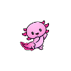 Team Axolotl