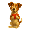 Jack Russell Terrier with Heart