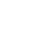 2029