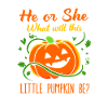 Gender Reveal Halloween Mom-to-be