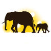 Elephant family at sunset