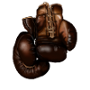 Dunkle Boxhandschuhe Lederdetail