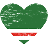Chechnya Flag Heart Used