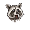 Who Shit My Pants? Raccoon