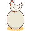 Chicken and egg