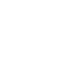 Löwenwappen Design – Mittelalter & Stolz