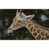 Giraffes Mosaic Portrait