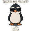 Penguin with sunglasses saying