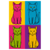 Pop Art Katzen Quartett