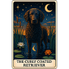 Curly coated retriever