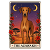 Azawakh