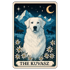Kuvasz