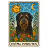 Sun Moon Catalan Sheepdog