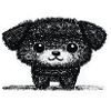 Winziges Hündchen (Grau)
