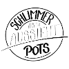 Schlimmer als es aussieht, PoTS