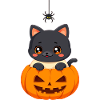Halloween Cat with Halloween Pumpkin