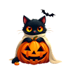 Halloween Cat with Halloween Pumpkin