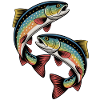 Two jumping trout