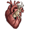 Herz Jackalope