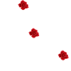Gothic Rose Mexico