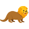 The cute otter lion