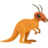 Kangaroo Ant with antennae