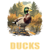 Ducks Duck