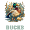 Ducks Duck
