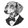 Elegant dog in tuxedo