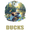 Canards Canard
