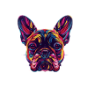 Farbexplosion Bulldogge Kopf
