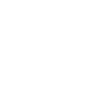 Arkansas State Pride Emblem USA