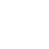 Delaware State Emblem Circular Badge