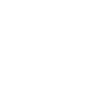 Connecticut States Emblem