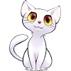 White kitten with golden eyes