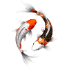 Glowing Spiral Koi Carp