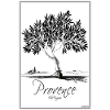 arbre_olivier_mediterranneen_NOIR_Provence_fineart