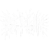Berlin Lightning Roots Graphic